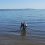 Пляжи в Балакове и Хвалынске осматривают водолазы